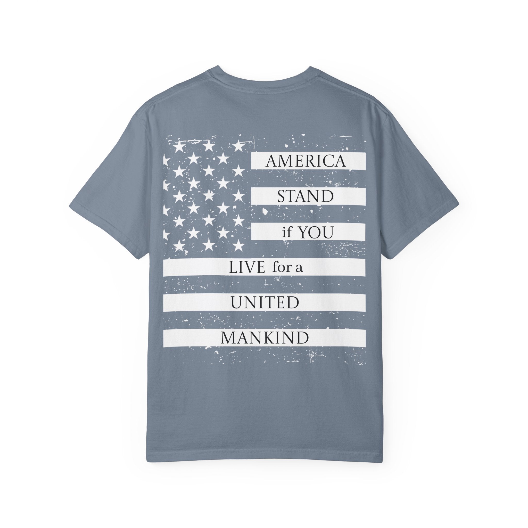 GRANT ASYLUM Adult Tee